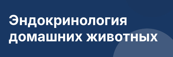Эндокринология домашних животных