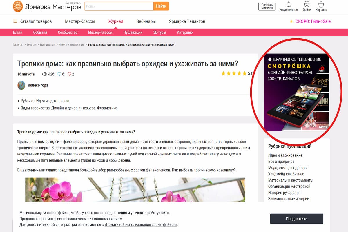 Пример баннерной рекламы онлайн-кинотеатра на сайте livemaster.ru