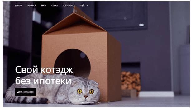 Удачный пример — сайт с продажей товаров для котов