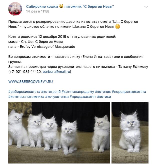Рекламный пост Вконтакте - оформление и идеи