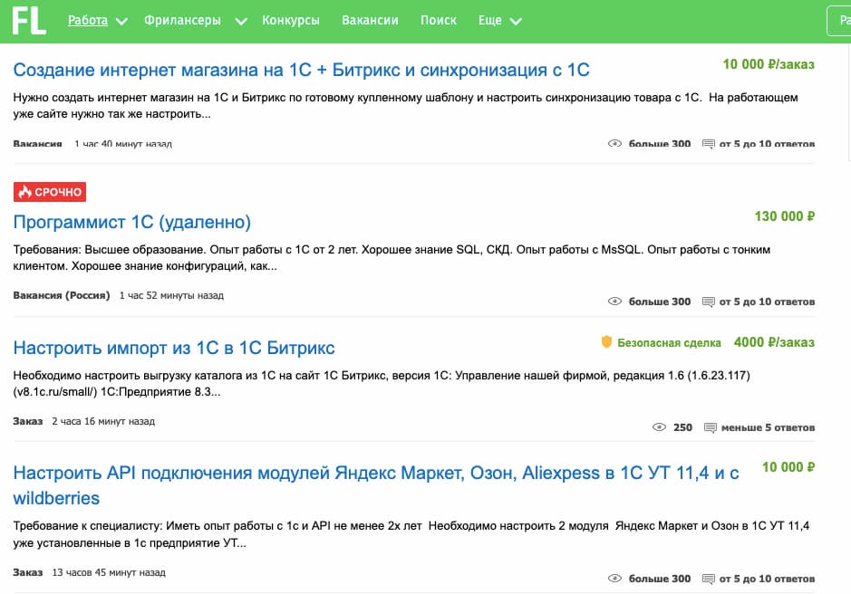 Примеры заказов на сайте Fl.ru