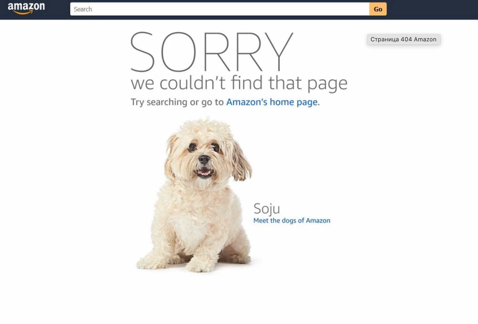 Страница 404 Amazon