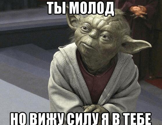 Middle web analyst
