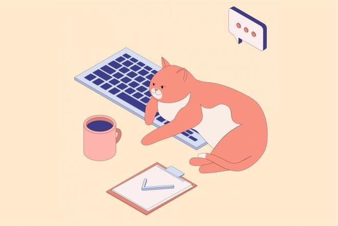 Профессия «Маркетолог-Фрилансер» от Skillbox