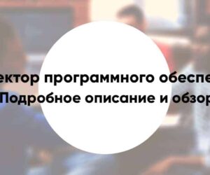 Software architect8