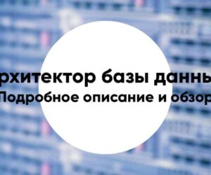 Database architect8