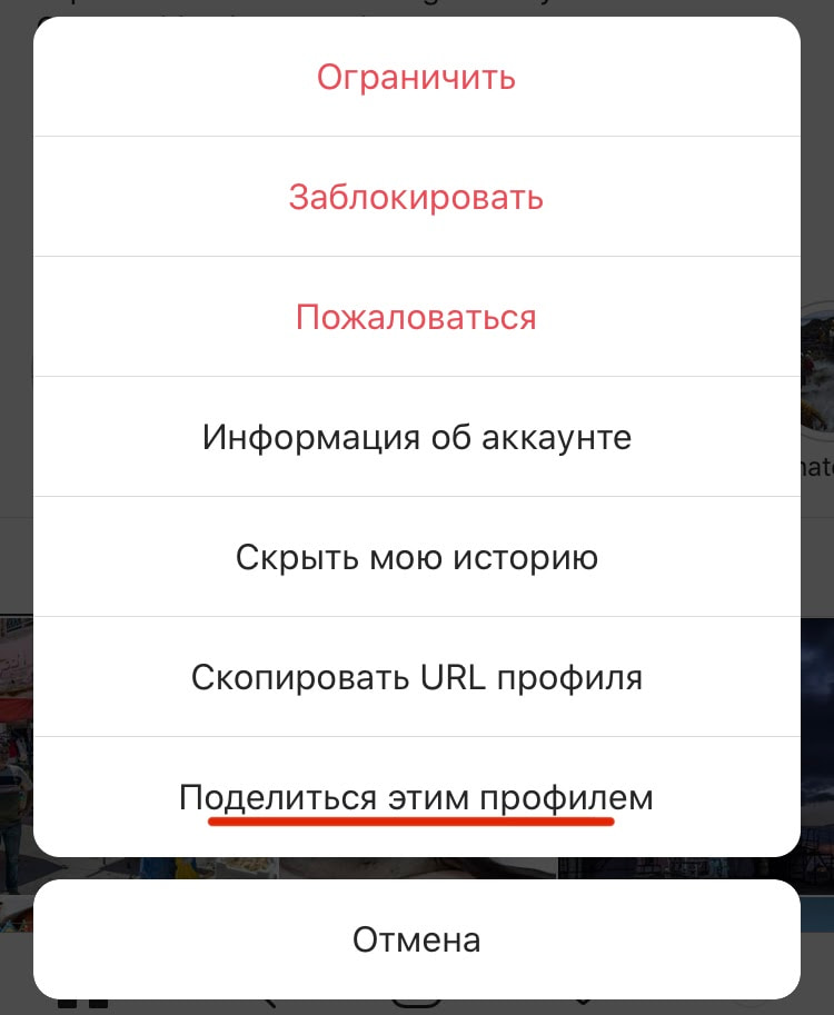 Выбираем функцию «Поделиться этим профилем»