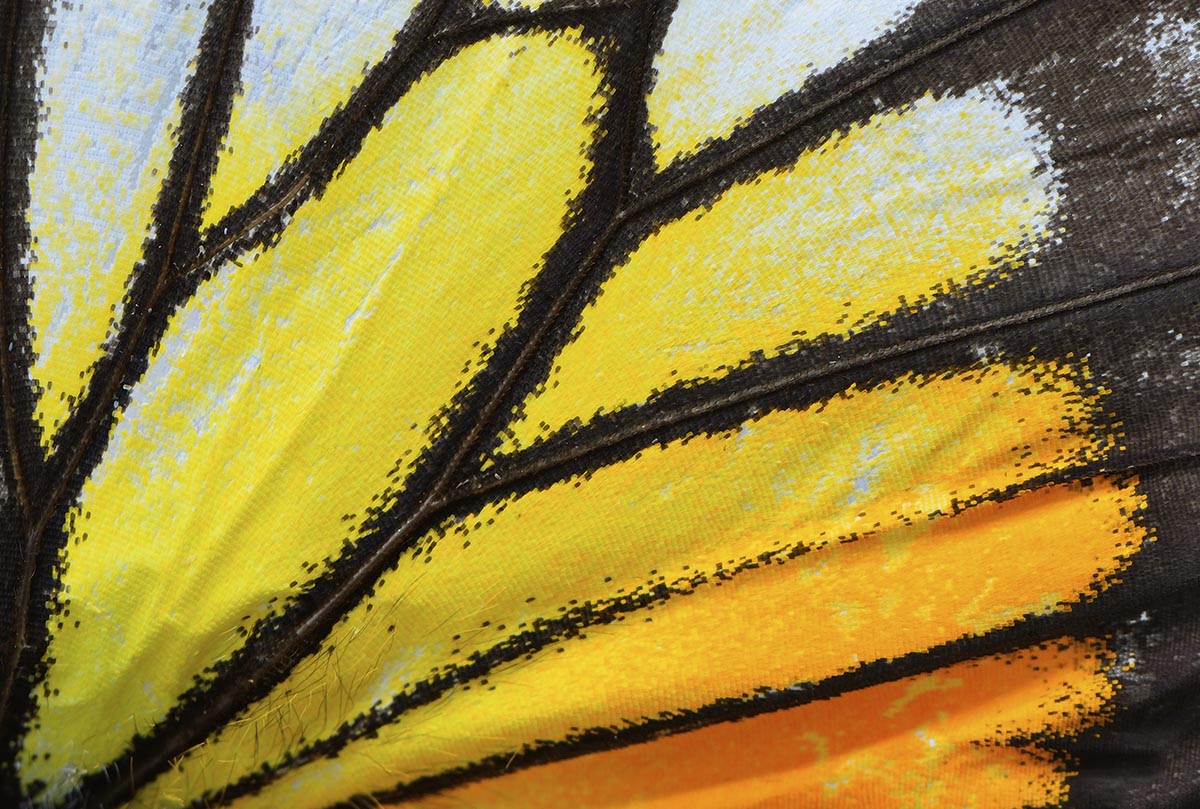 Prodvizhenie v pinterest chto delat chtoby poluchat ottuda trafik i klientov