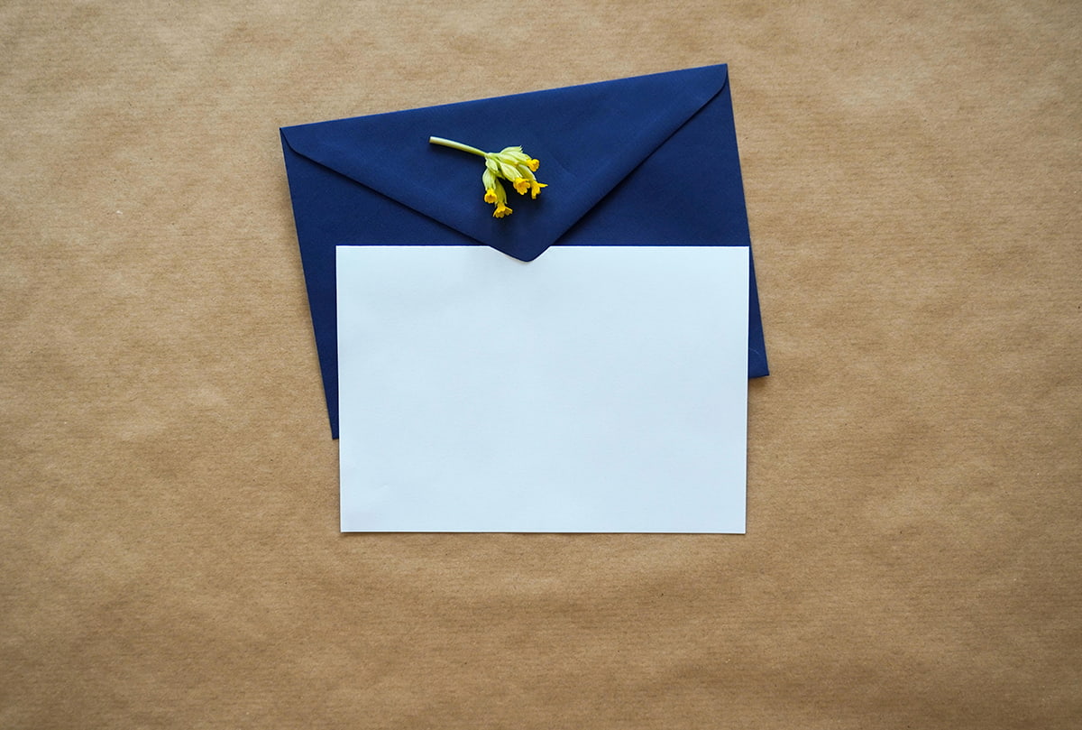 Top servisov dlya email rassylok