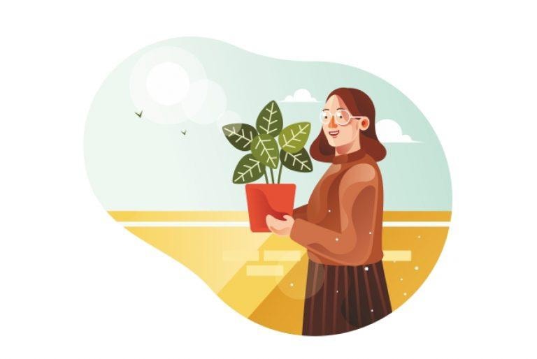 Курс «Горшечные растения» от Skillbox