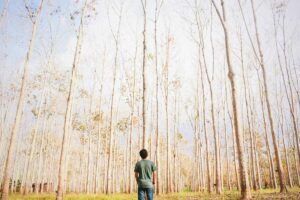 Kak nazvat kompaniyu