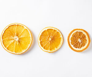 Kak vybrat napravlenie v dizayne