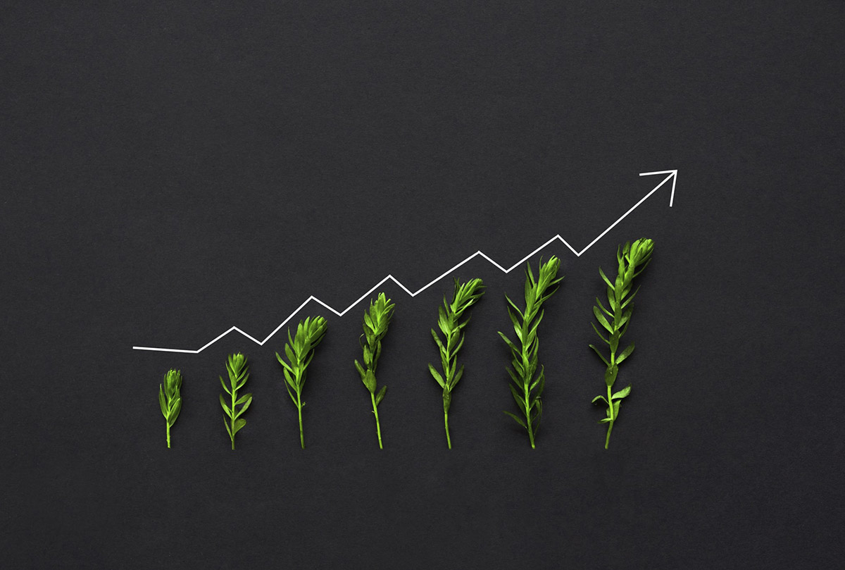 Kak zarabotat na investiciyah