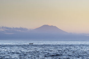 Chto takoe trevozhnost