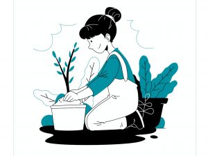 Курс «Комплексный уход за садом» от Pentaschool Курс «Комплексный уход за садом» от Pentaschool