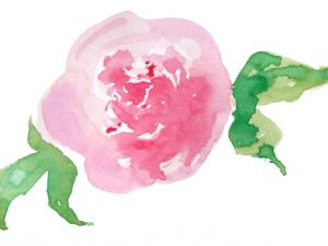 Курс «Основы акварельной живописи» от Pentaschool Курс «Основы акварельной живописи» от Pentaschool