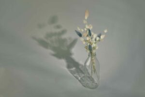 Top vostrebovannyh professiy