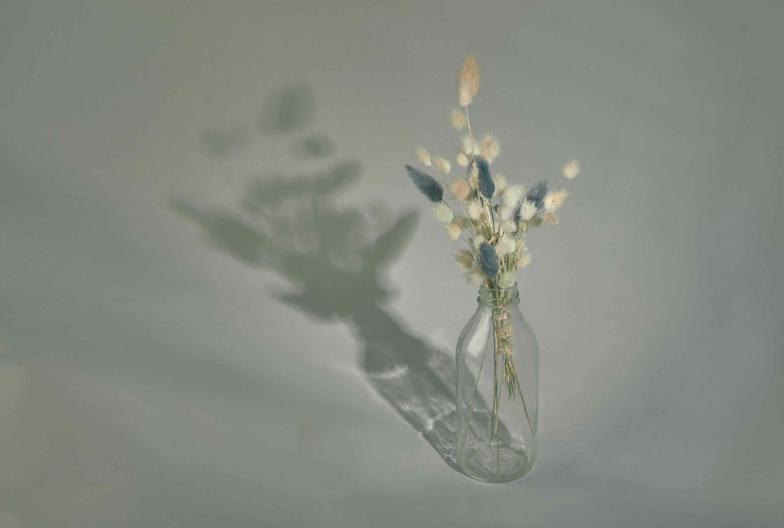 Top vostrebovannyh professiy