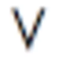 Логотип Verona Models — школа моделей