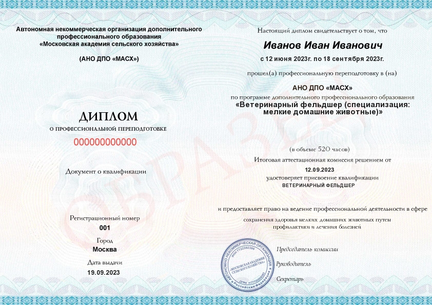 Комарова Ольга Марьяновна, Практикующий ветеринарный терапевт и ветеринарный дерматолог с опытом более 14 лет