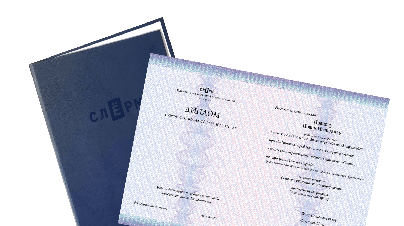 Аниса Сибгатуллина, Карьерный ментор