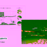 Анна Никитина