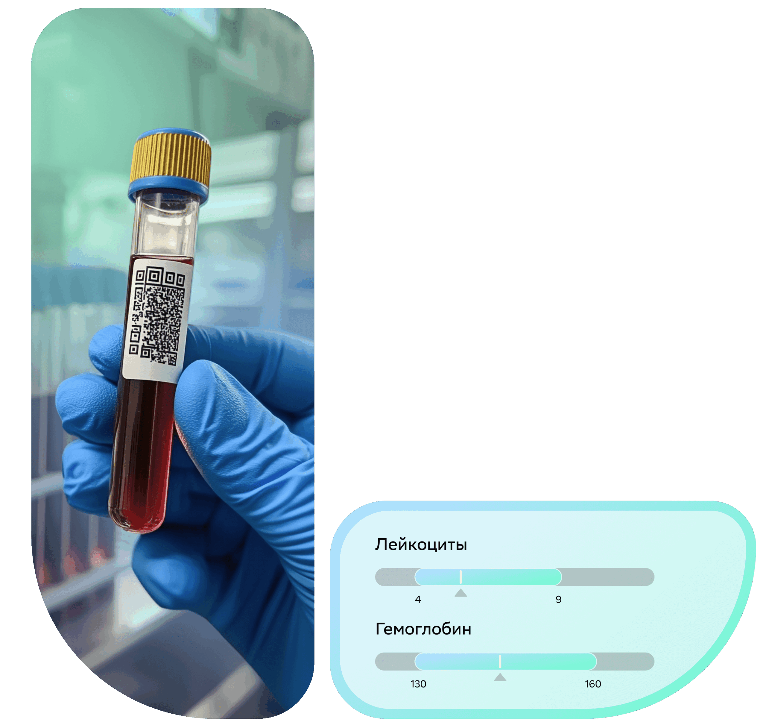 Любовь Краснова, Кандидат медицинских наук, доцент