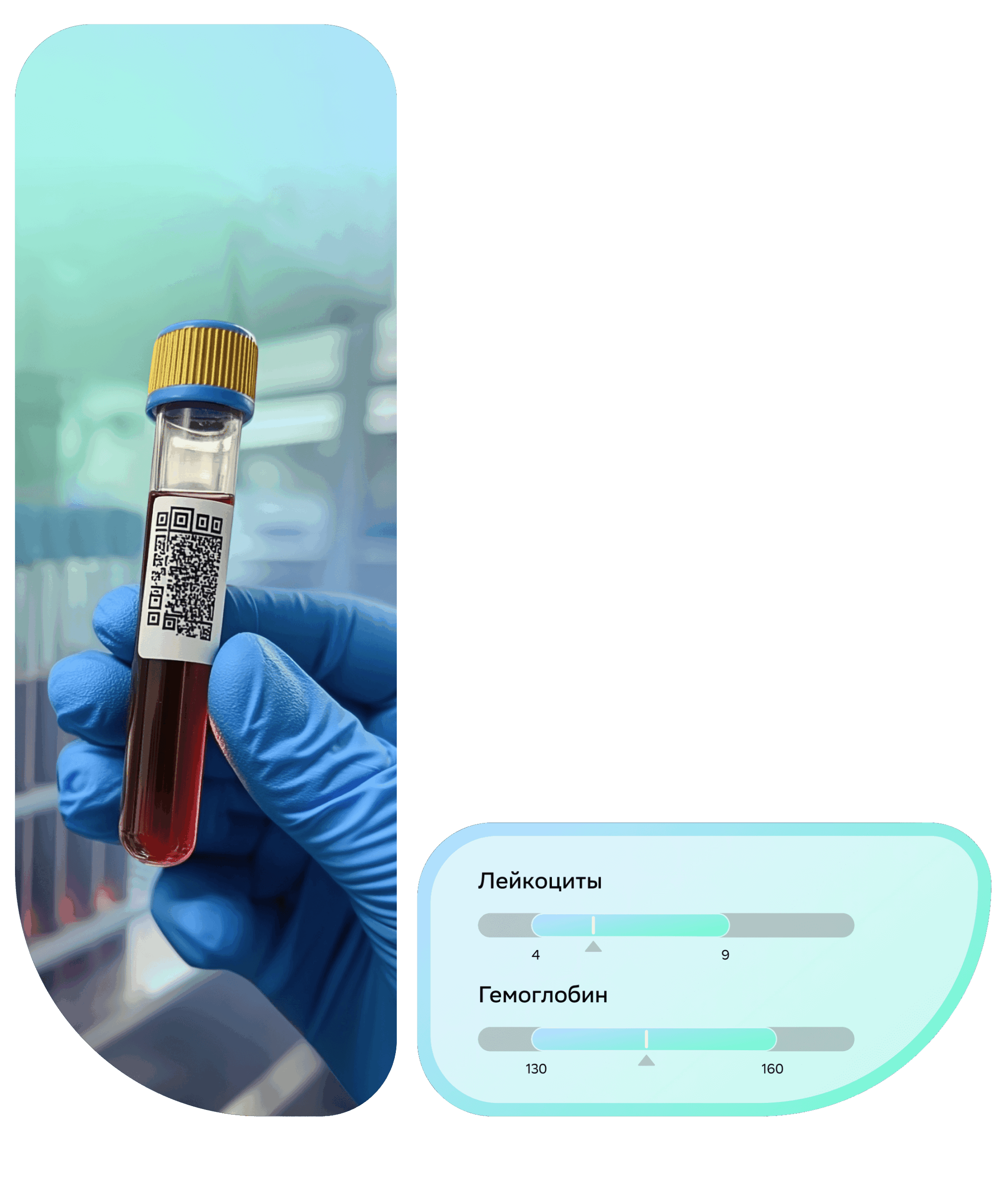 Павел Воробьёв, Доктор медицинских наук, профессор