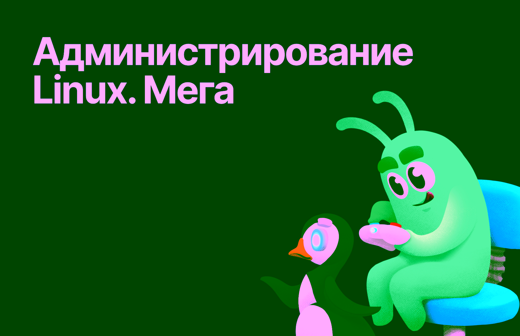 Роза Галеева, Системный инженер Juniper Networks