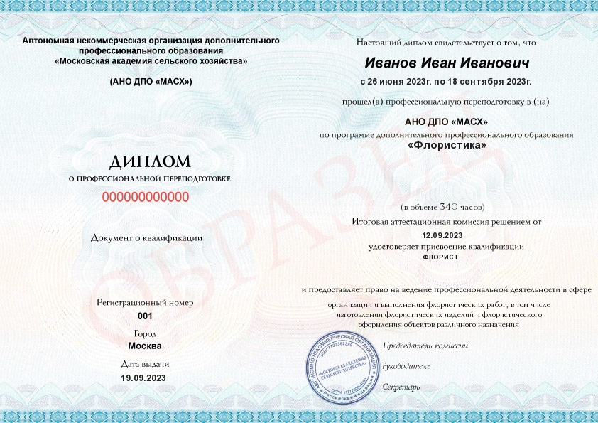 Юркова Анастасия Андреевна, Практикующий флорист