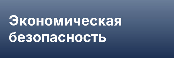 Экономическая безопасность