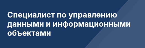 Специалист по управлению данными и информационными объектами