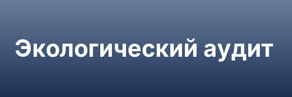 Экологический аудит