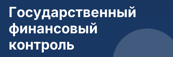 Государственный финансовый контроль