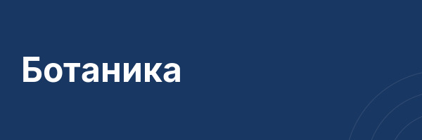 Ботаника