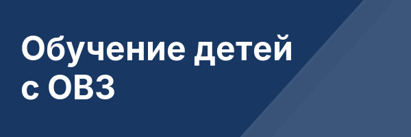 Обучение детей с ОВЗ