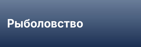 Рыболовство