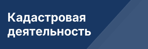 Кадастровая деятельность