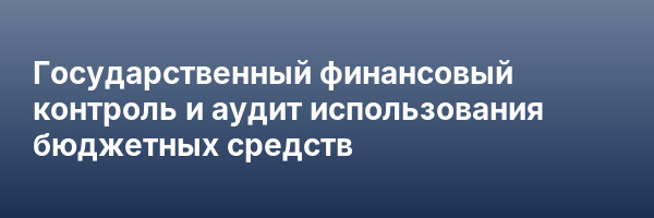 Государственный финансовый контроль и аудит использования бюджетных средств