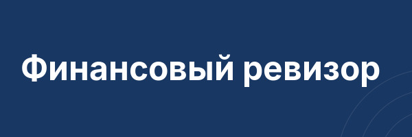 Финансовый ревизор
