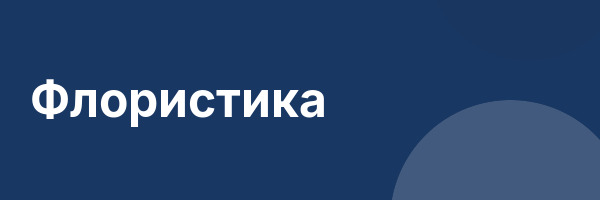 Флористика