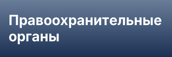Правоохранительные органы