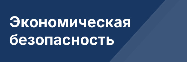 Экономическая безопасность