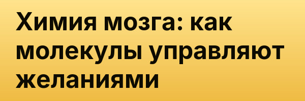 Химия мозга: как молекулы управляют желаниями
