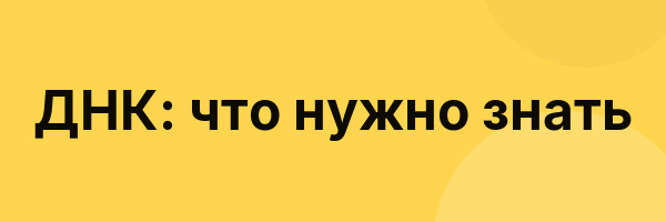 ДНК: что нужно знать