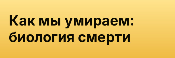 Как мы умираем: биология смерти
