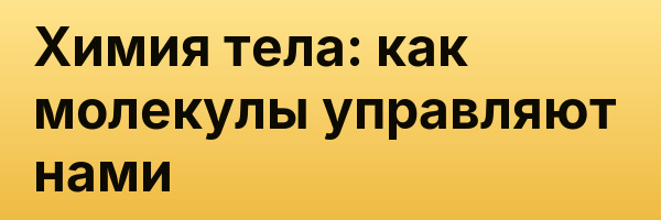 Химия тела: как молекулы управляют нами