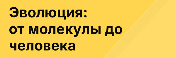 Эволюция: от молекулы до человека
