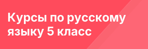 Курсы по русскому языку 5 класс