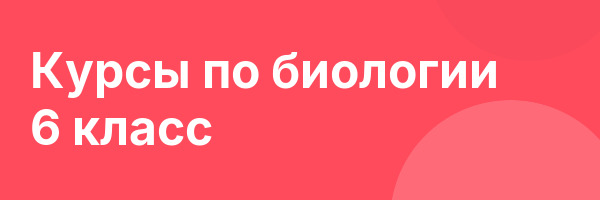 Курсы по биологии 6 класс